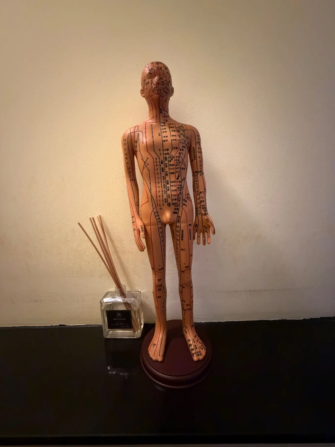 Modèle d'acupuncture chinois avec méridiens et points, et diffuseur de parfum
