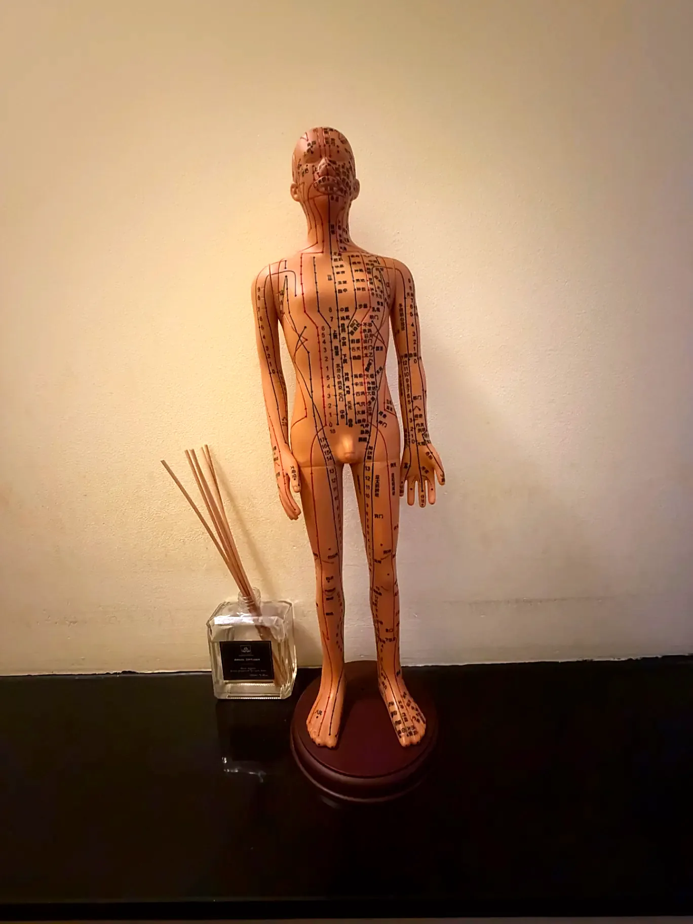 Modèle d'acupuncture chinois avec méridiens et points, et diffuseur de parfum